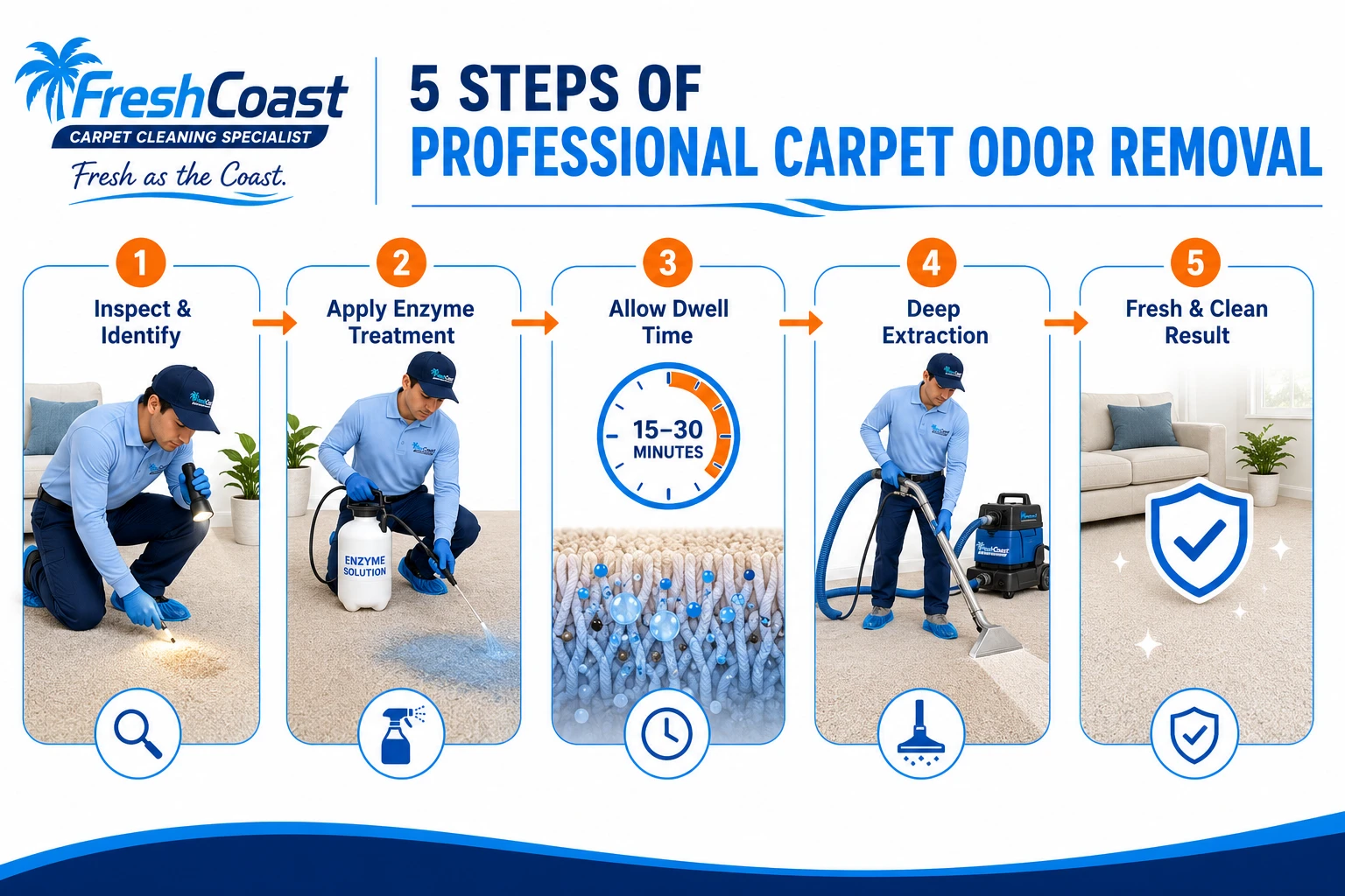 Professional enzyme-based carpet odor removal treatment in a bright home