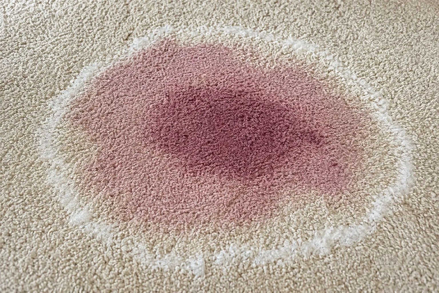 Close up of carpet stain being treated professionally